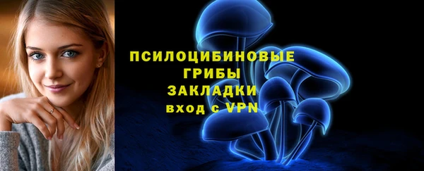 эйфоретик Гусь-Хрустальный
