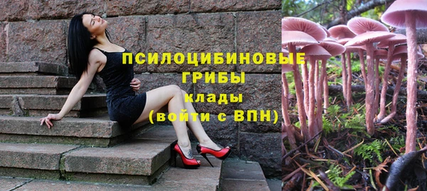 гашиш Аркадак