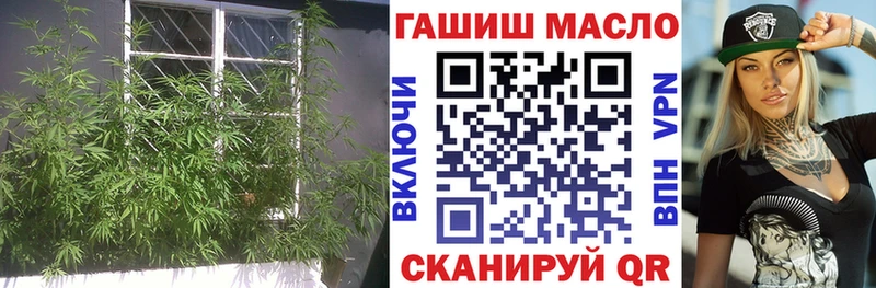KRAKEN вход  наркошоп  Мурманск  ТГК THC oil 